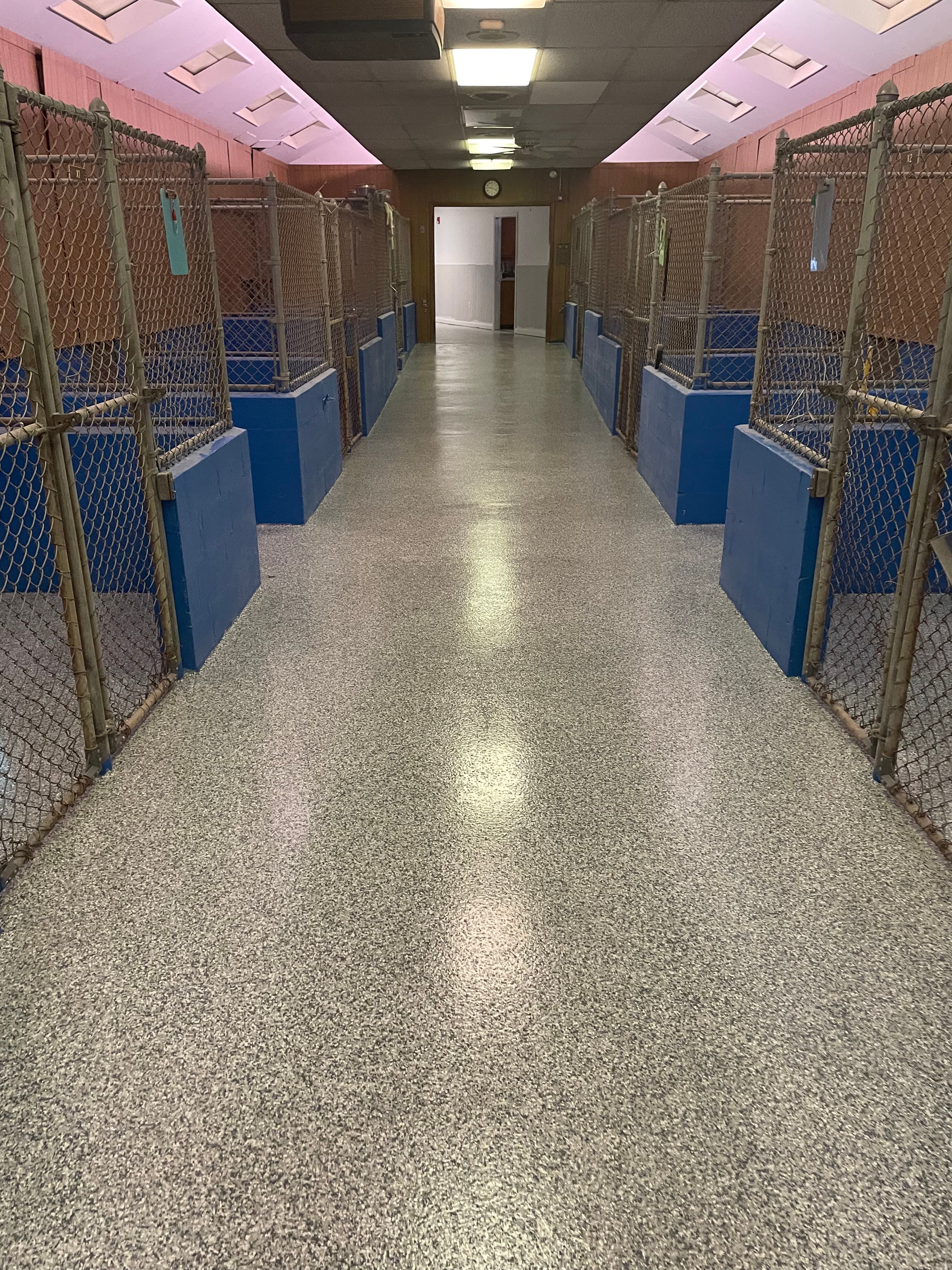 Veterinary Clinics